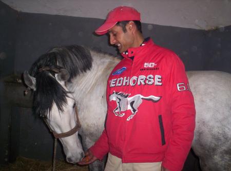 vive hichem