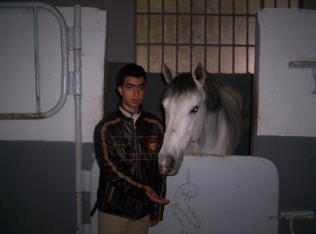 mon chevale